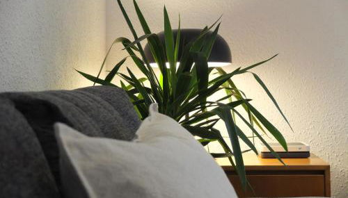 Entre Pinos P1 Beach Apartment - Foto 3