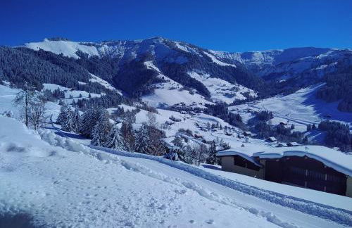 Demi Chalet Le LACHAT - Photo 42