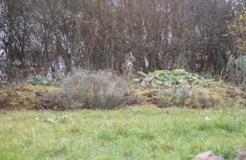 Ferienwohnung "Eifelstueffje" - Foto 74