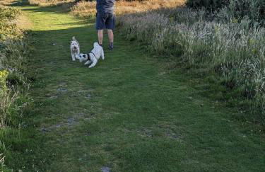 The Pepper pot - Photo 15