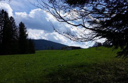 Biohof Unterstadl - Foto 1