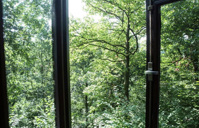 Quaint Chalet in Petithan With Roofed Pool - Foto 24