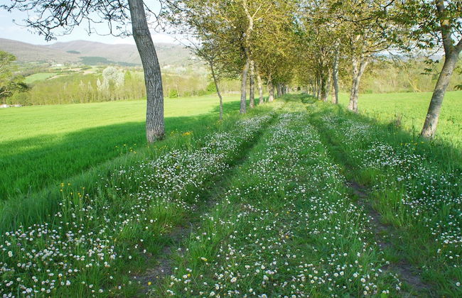 Casa Agricola Rossi - Photo 52