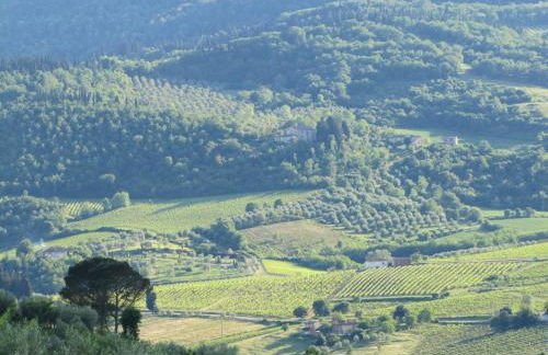 Agriturismo La Fontaccia - Foto 45