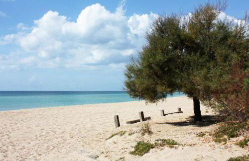 Villa tra gli ulivi - Foto 19