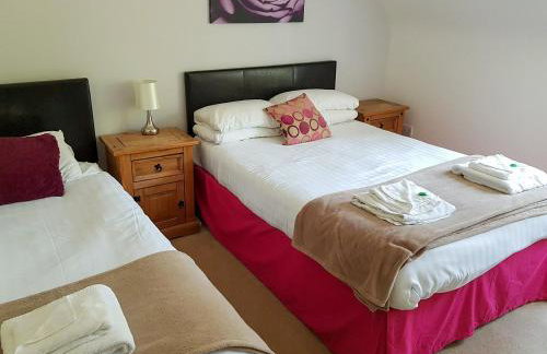 The Red Kite - Uk31003 - Foto 7