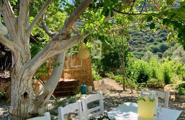 Παραδοσιακός πέτρινος ξενώνας σε φάρμα - Foto 36