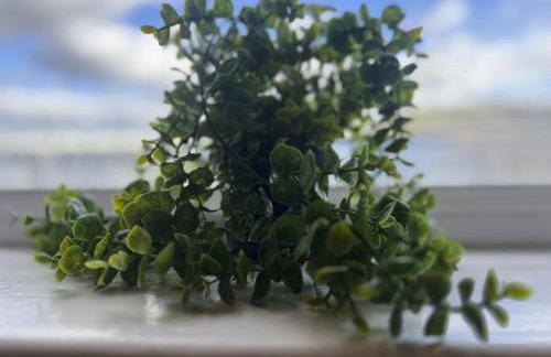 Hayy Studio Quiet Comfy Connected - Foto 25