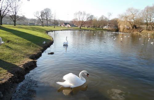 Granary at Tyddyn Isaf - Photo 30