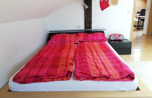 Großzügige und kunstvolle Dachgeschosswohnung - Foto 8