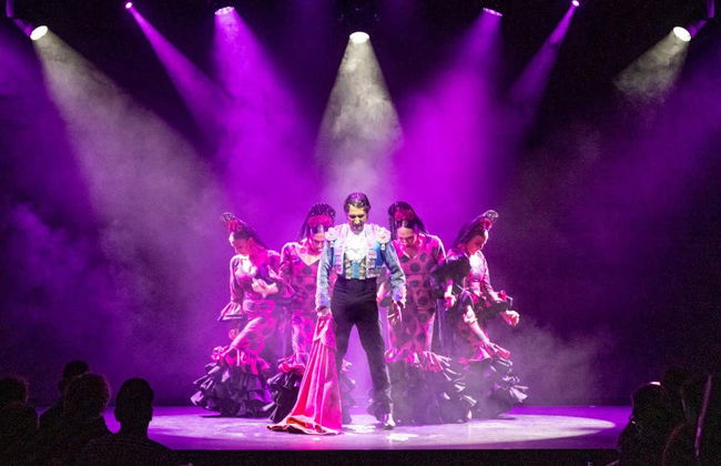 Espectáculo Olé Flamenco Show - Foto 2
