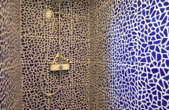 La salamandre - Foto 17