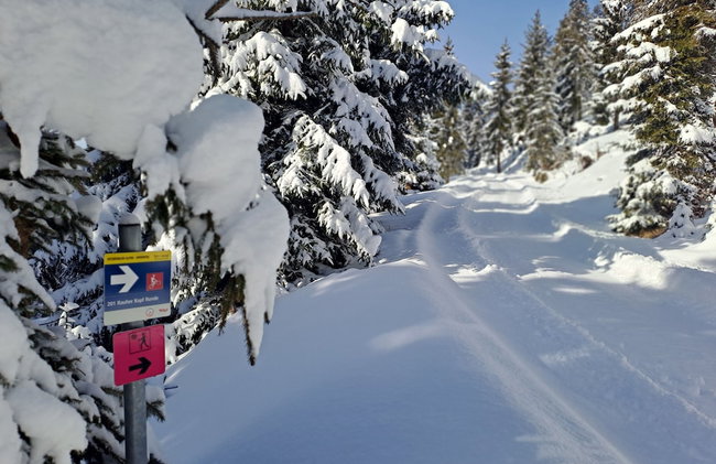 Panorama Appartements Filzerhof - Foto 42