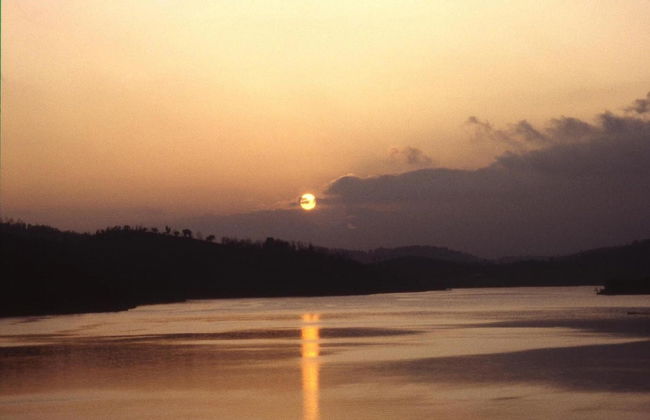 La Chesnaie - Foto 19