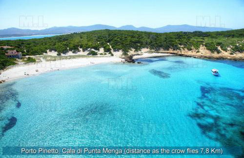 Il Fenicottero - Foto 37