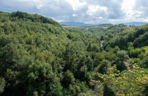 Casa Marù - Photo 28