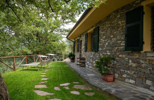 HOST4U - BORGATA VALLONE Apartments with Stunning Garden and Parking - Foto 56