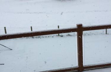 Breeze Place - Foto 48