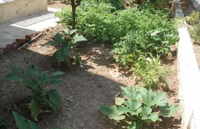 Irene's Studios 2 - Foto 8