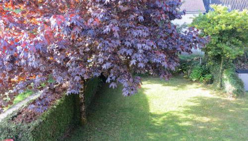 Gîte de vacances avec wifi - Foto 2