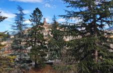 Refuge Arago - Foto 46