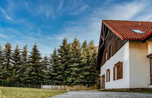 Willa Jagodne Kozin - Foto 8