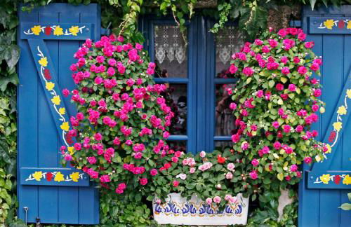 Ty Konk-Kerne Agréable maison au calme 5 min des plages Parking - Photo 46