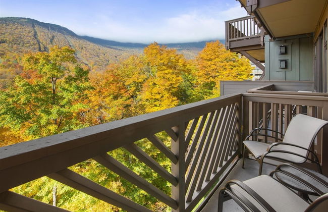 1325 Studio @ The Lodge at Spruce Peak - Photo 8