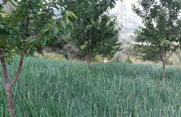 Agriturismo Gli Antichi Sapori - con stazione di ricarica veicoli elettrici - Foto 52