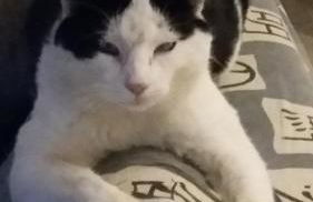 Agriturismo al Monte - Foto 8