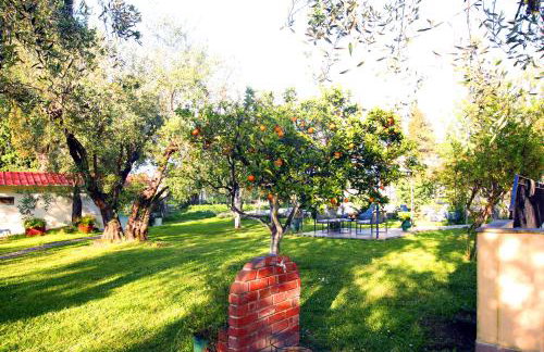 Green House!!! - Foto 38