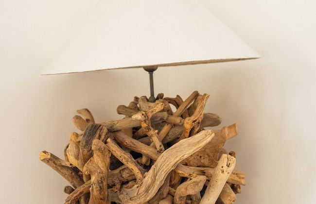 La Borgnardais - Foto 38