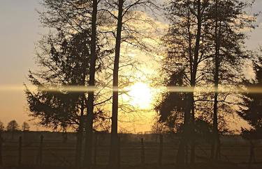 Gospodarstwo Agroturystyczne Irena Naruszewicz - Foto 31