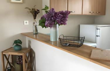 Gîte Ti Gwer - La Cour Chevalier - Foto 6