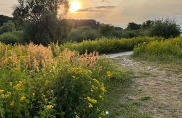 Haus am Wald in Hitzacker Elbe Wendland - Foto 21