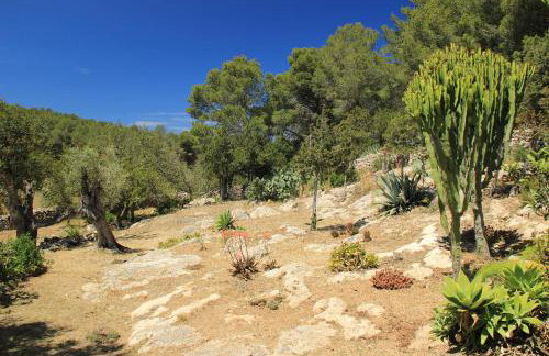 Casa Vilda - Photo 13