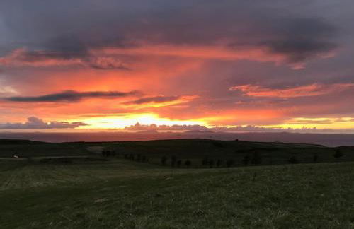 The Ardmore Pod - Foto 19