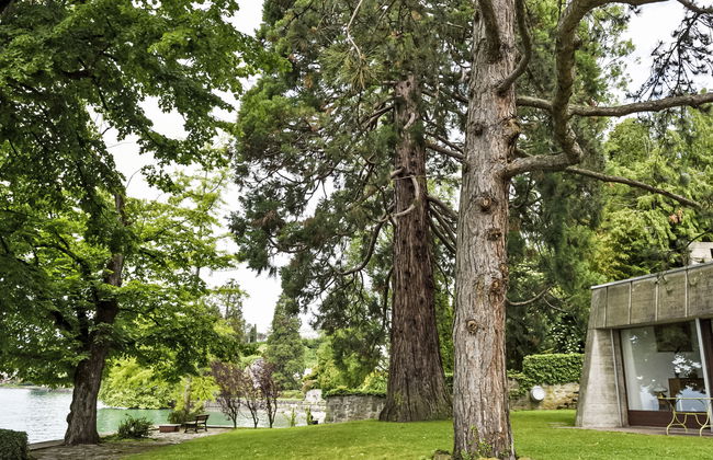 Duck House - Foto 30