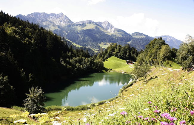 Ferienhaus Schwendehof - Foto 25