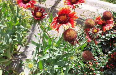 Casa vacanze Emilio - Foto 55