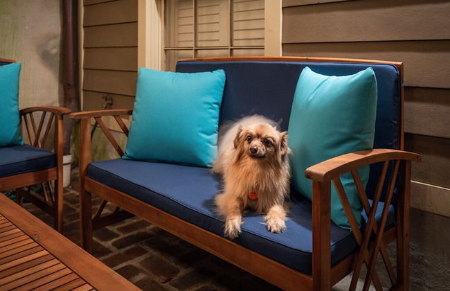 Southern Belle Garden - Photo 18