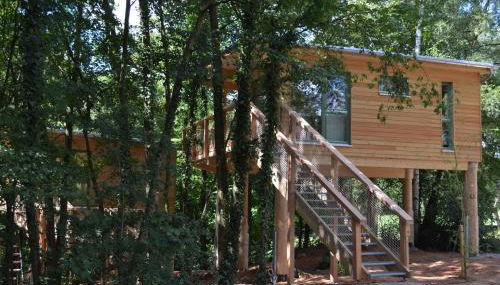 MainBaumhaus - Foto 3