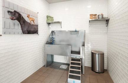 Landing Incredible 1BD Yoga Studio Gym - Foto 31