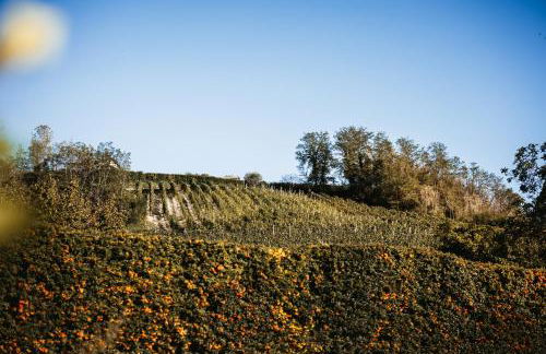 Villa Gramolina Nizza - Foto 48