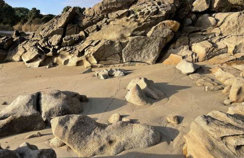 Camino de Rosa's - Foto 21