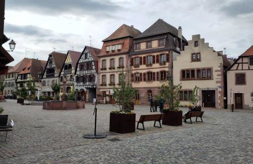 Gite spacieux et chaleureux 8p, route des vins - Foto 27