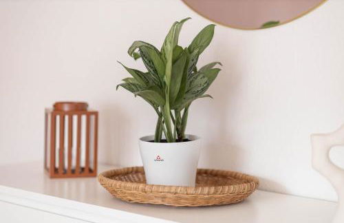 Wellness Lounge am Bauhausmuseum - Foto 12