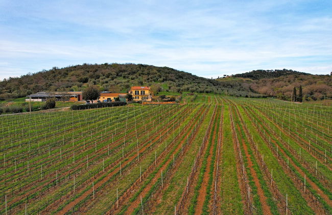 Poggiolivi Agriturismo Bio in Maremma - Photo 50