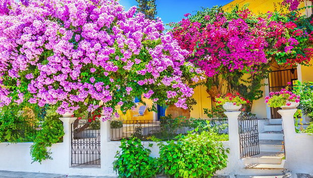 Rhodes Self Drive 4x4 Expedición al desierto y almuerzo tradicional - Foto 4