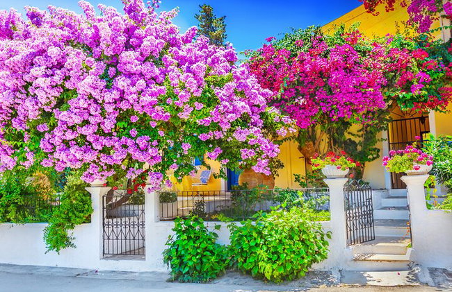 Rhodes Self Drive 4x4 Expedición al desierto y almuerzo tradicional - Foto 4